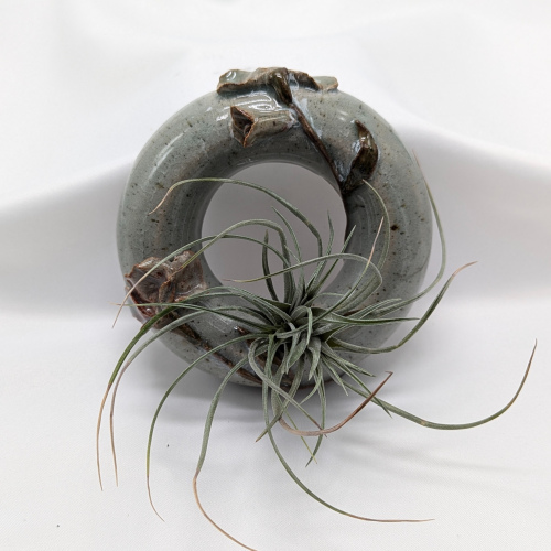 Donut Air Plant Vase